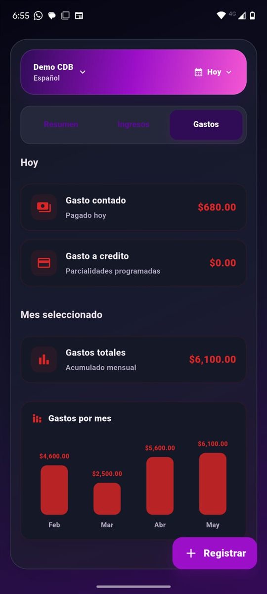 Panel de gastos en Cuentas de Bolsillo
