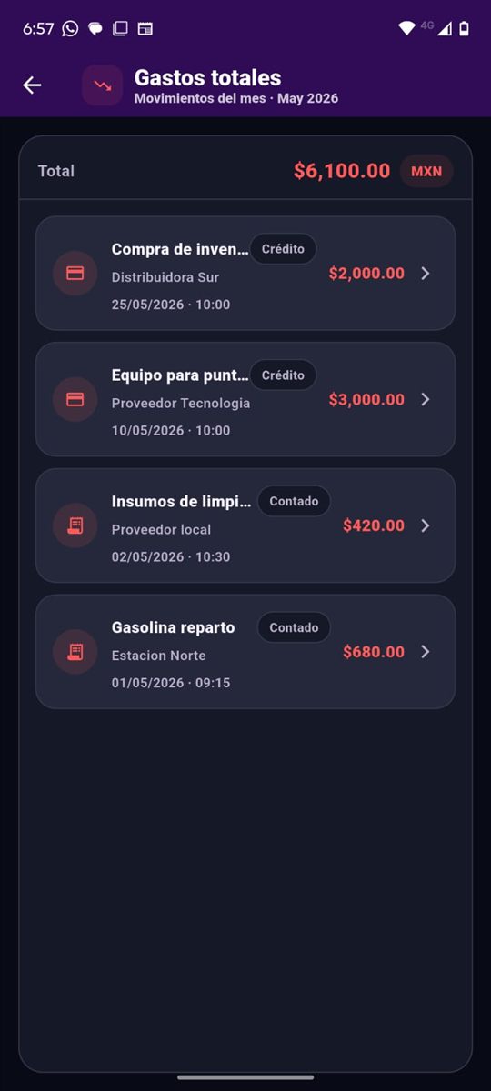 Pantalla de gastos totales en Cuentas de Bolsillo