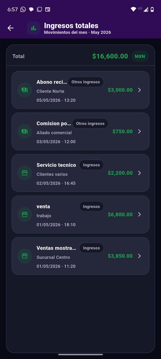 Pantalla de ingresos totales en Cuentas de Bolsillo